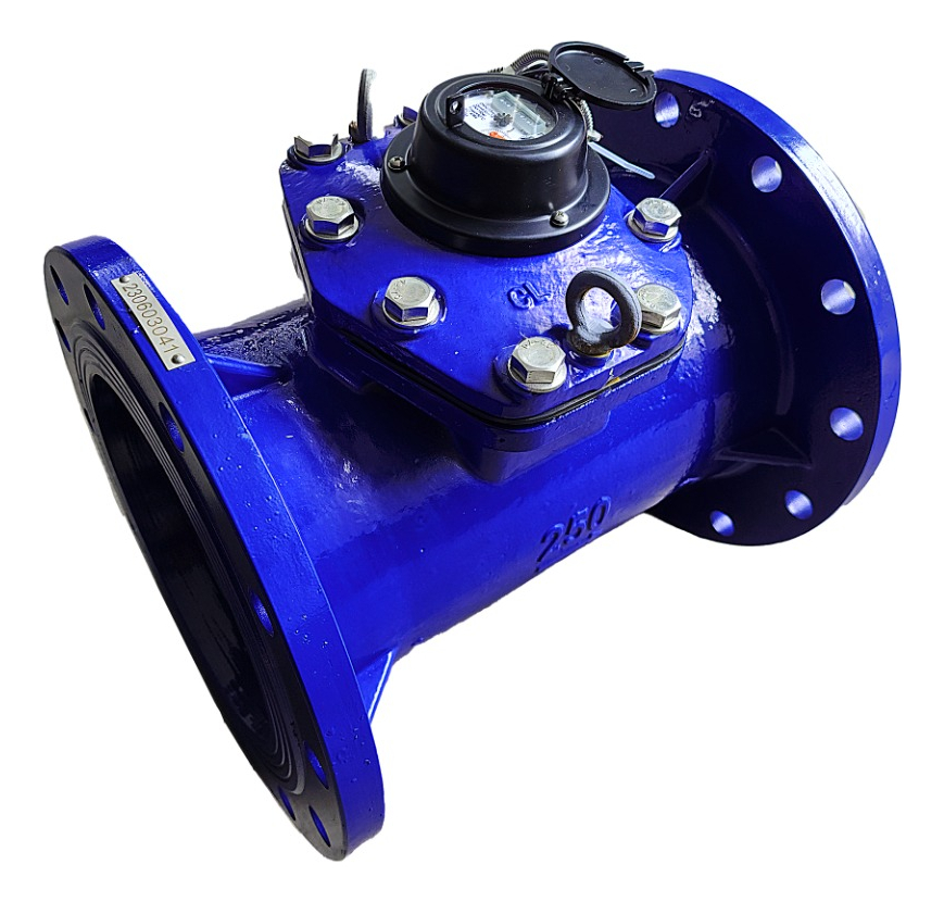 Medidor De Agua Bridado Tipo Turbina Woltman 10 PLG (250 Mm)