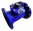 Medidor De Agua Bridado Tipo Turbina Woltman 10 PLG (250 Mm)