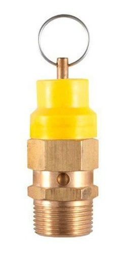 Válvula de seguridad, 3/4" NPT, 120 psi