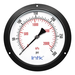 [INTK250110300] 10" Standard, dry, pressure gauge, black steel case, 1/2" NPT, back connection, 0 to 300 psi-kPa