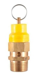 [2006] Válvula de seguridad, 3/4" NPT, 120 psi